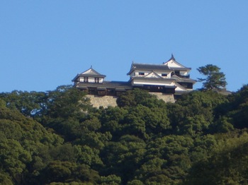 06-2日目-松山城を下から2.JPG